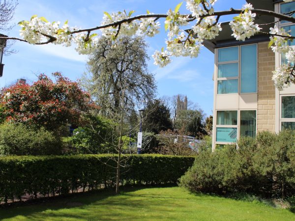 Canterbury Christ Church University - partenaire de CHRISMO Consulting